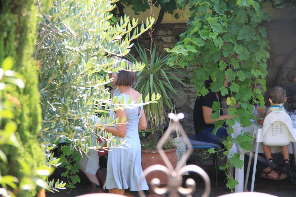 Bed and Breakfast antica casa "le rondini" Borgo a Buggiano Exterior foto