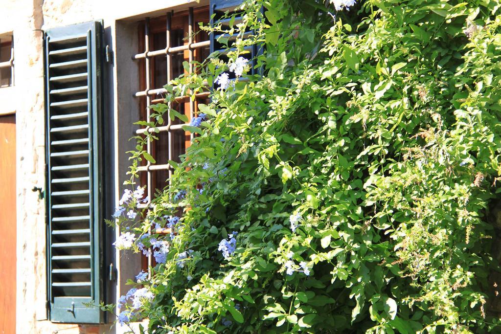 Bed and Breakfast antica casa "le rondini" Borgo a Buggiano Exterior foto