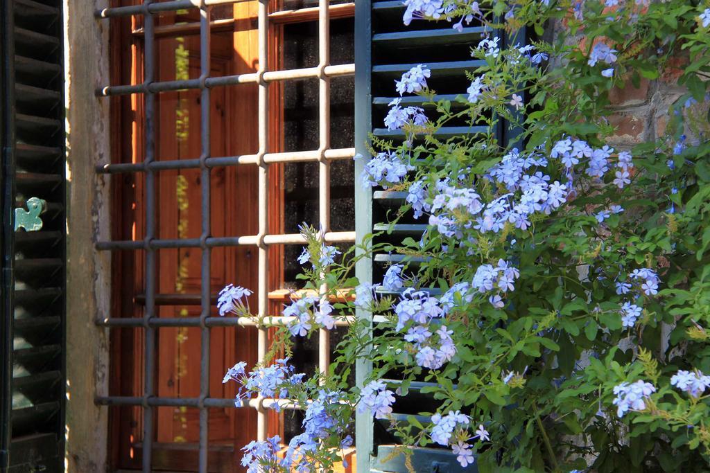 Bed and Breakfast antica casa "le rondini" Borgo a Buggiano Exterior foto