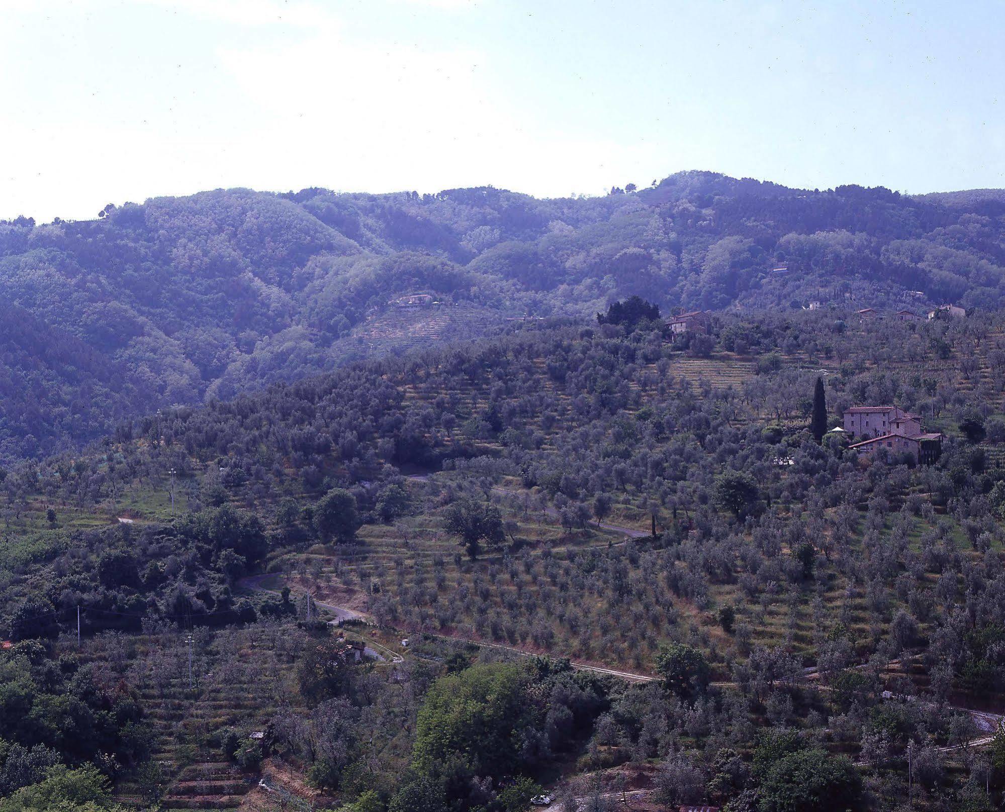 Bed and Breakfast antica casa "le rondini" Borgo a Buggiano Exterior foto